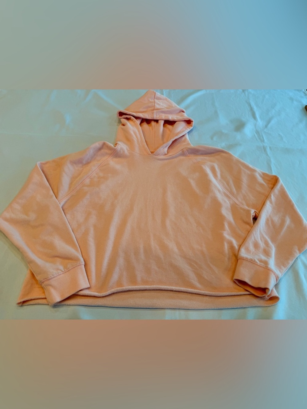 Lucky Brand Pink Cropped Hoodie Size Medium